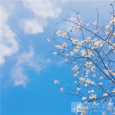 爱游体育APP官方入口