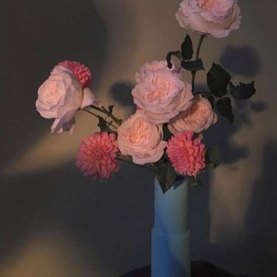 Kaiyun·开云体育