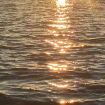 风云体育app官网入口